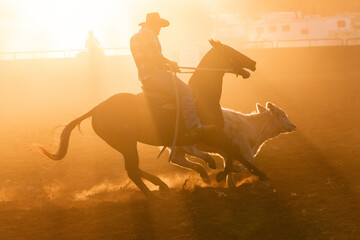 late afternoon Campdraft activites 