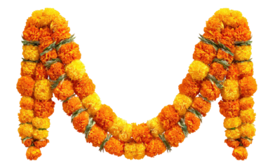 Floral garland in the shape of the letter "M".  Double arch design of orange and yellow marigold flowers.  Green stems and leaves are interwoven.  Isolated on a black background