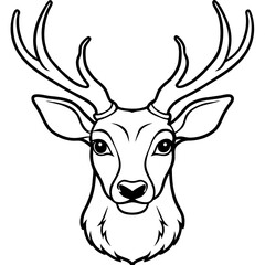 Elegant Deer Antlers Line Art Illustration Vector Design