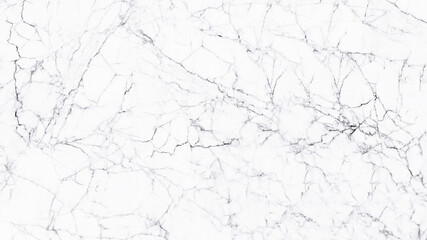 White marble texture and background.