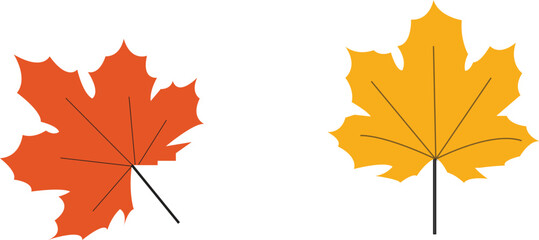 Autumn Leaves Vector  Design Set