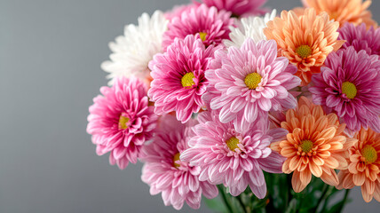 Close-up of beautiful spring chrysanthemum bouquet
