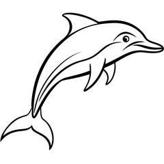 Elegant Dolphin Jumping Vector