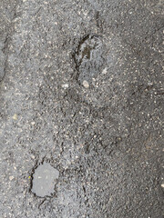The image depicts a weathered asphalt surface, its dark, gritty texture marred by shallow potholes filled with murky rainwater. Scattered pebbles and debris dot the uneven terrain, reflecting a damp, 