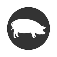 Pig icon isolated on transparent background