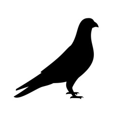 A sleek black silhouette of a pigeon standing tall against white background