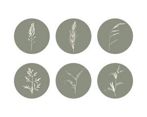 Botanical herbal green badges featuring silhouettes of plant prints inside round circles. Great for stickers, branding and minimal packaging