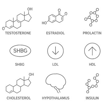 Set of hormonal and molecular structures with minimalist line design