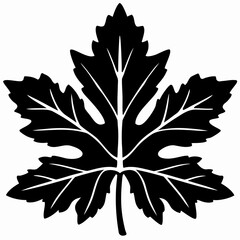 Fototapeta premium Elegant Maple Leaf Silhouette Vector Design