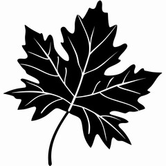 Elegant Maple Leaf Silhouette Vector Design
