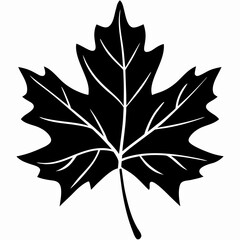 Fototapeta premium Elegant Maple Leaf Silhouette Vector Design
