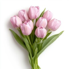 Obraz premium A bouquet of purple tulips, isolate on white background.