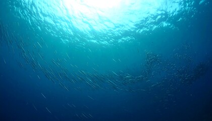 Underwater Serenity - A Glimpse into the Deep Blue.