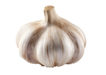 Close-up of a single garlic bulb.  Its pale, creamy-white skin has subtle, tan-colored striations. The bulb is complete, round, and sits in sharp focus against a black background
