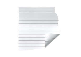 A torn lined sheet of paper, corner bent