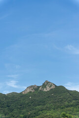 山