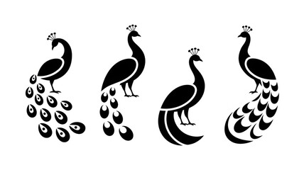 Fototapeta premium A collection of four stylized black peacock silhouettes, each displaying its unique plumage and elegant posture, isolated on a white background