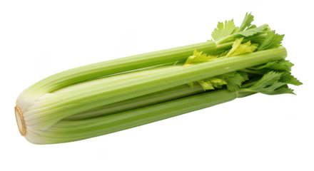 Fresh Celery Stalk On Black Background
