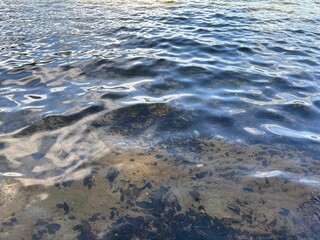 湖畔のキャンプ場　中綱湖