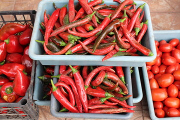 a wonderful pepper harvest in our garden this fall