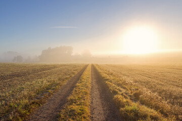 Dirt road on a field a misty autumn morning with the sun shining at the sky