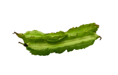 Winged bean isolated on transparen png with clipping path