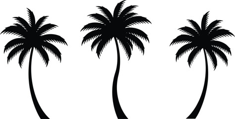 Silhouette of three tropical palm trees with curved trunks, coconut tree vector design for summer, beach, island, exotic paradise illustration
