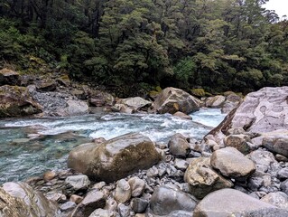 A pristine turquoise river rushes through a dense rainforest wilderness in New Zealand