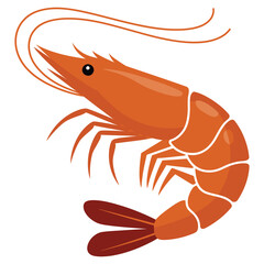 shrimp vector illustration