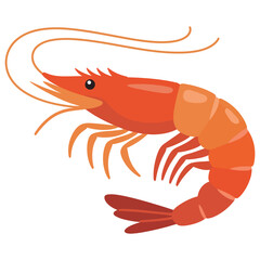 shrimp vector illustration