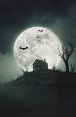 Spooky house on a hill with flying bats under a glowing moonlight. Perfect for Halloween invitations, horror book covers, and digital art.