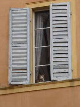 Modena