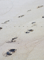 Close up of footprints in beach sand