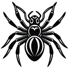 small spider vector icon