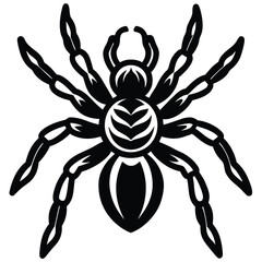 Obraz premium tarantula vector icon copy