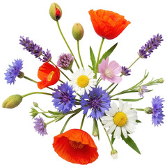Obraz premium Colorful bouquet of wildflowers isolated on transparent background for decoration