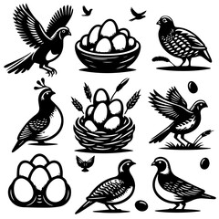 Collection of birds in flight and perched with nests and eggs in a black and white illustration