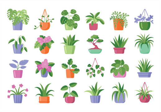 Houseplant Icon Set Vector Illustration