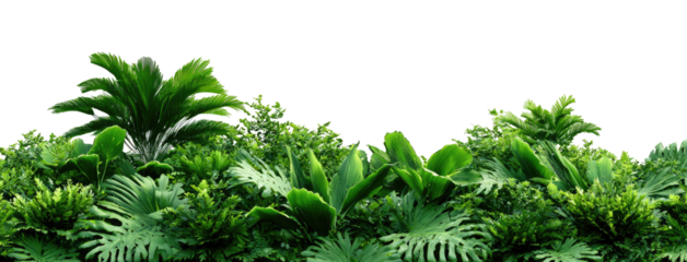 Lush green tropical plants fill the image, showcasing various foliage types in a dense, vibrant display