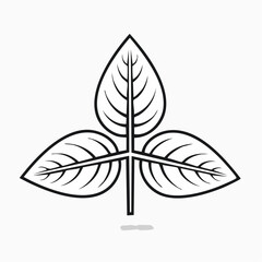 Three Leaves Design Simple Line Art Botanical Illustration
