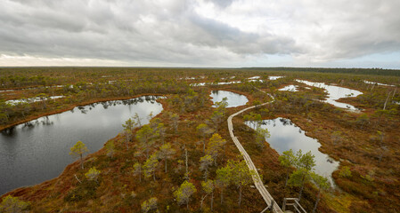The wooden path between deep swamps
