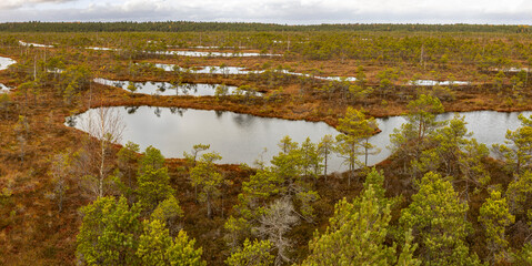 The wooden path between deep swamps