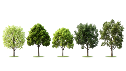 Collection beautiful 3D trees isolated on a transparent background