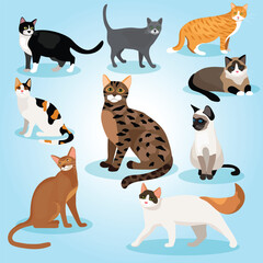 Obraz premium Cute Cartoon Style Illustration of Various Pedigree Cats Breed