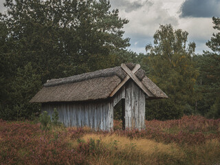 Bee hut in the heather blossom