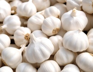 Close-up of many white garlic bulbs