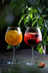 Delightful and Refreshing Colorful Cocktails Featuring a Combination of Citrus