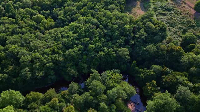 Aerial Flyover of Winding River in Dense, Lush Gu&eacute; Giraud Green forest, France