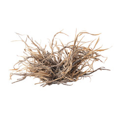 Fototapeta premium Dried, tangled plant, light brown, tan, fluffy, texture