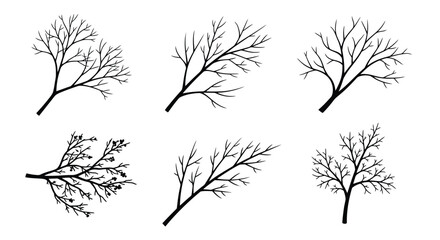 Collection of hand-drawn bare tree branches for seasonal designs vector